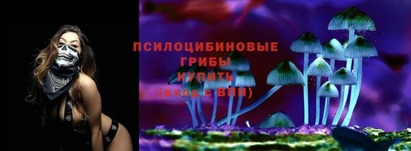 индика Абинск