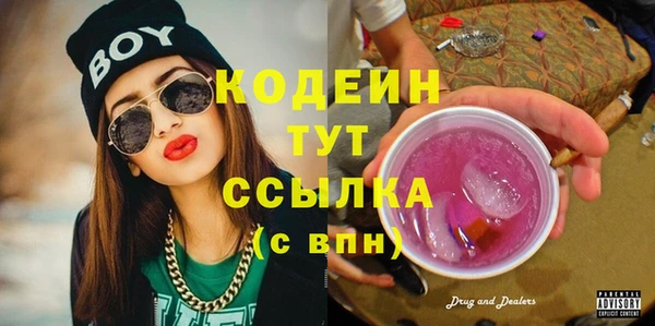 индика Абинск